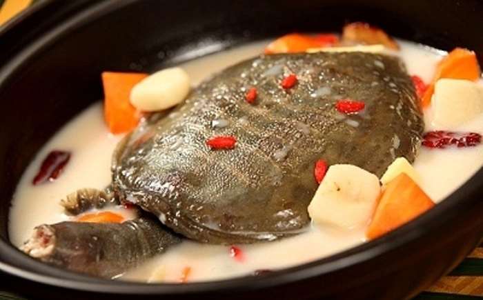  Один из распространенных китайских десертов – сладкий суп из черепахи.