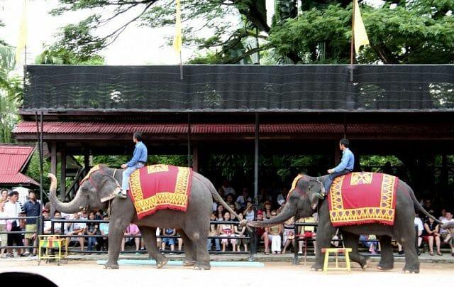 Тайская деревня Пхукета слоны