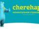Онлайн-сервис Cherehapa поможет выбрать из множества предложений оптимальный вариант индивидуально для каждого.