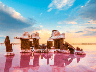 Кояшское Розовое озеро Крыма