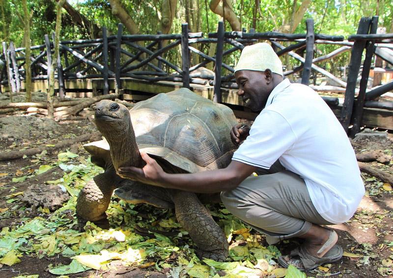 Обязательным к посещению является Остров Призон - знаменитый остров черепах