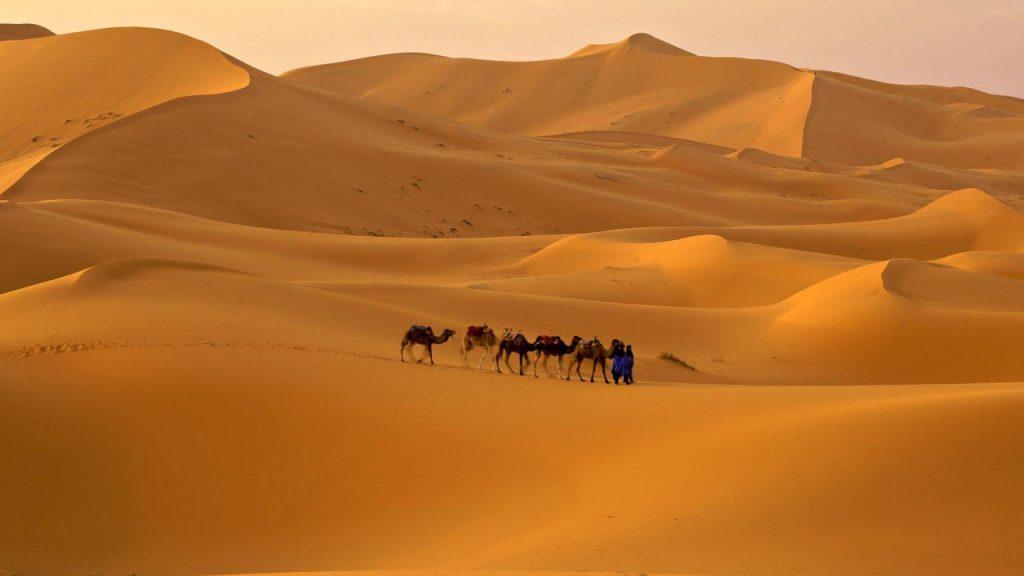 Если вы любитель путешествий и жаждете незабываемых приключений, то обязательно посетите Червонную пустыню в Египте. Это удивительное место, которое поразит вас своим красочным ландшафтом и уникальной флорой и фауной.