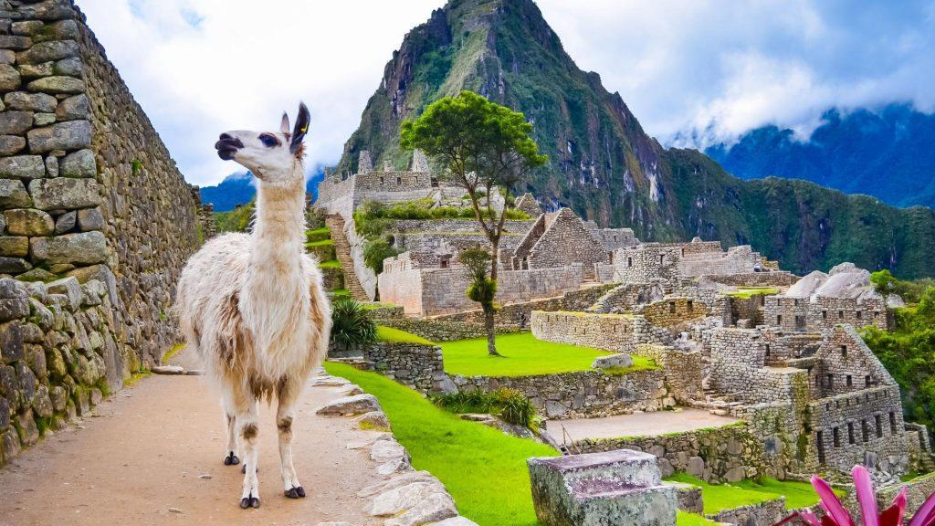 Мачу-Пикчу - это место, которое стоит посетить, прежде всего, благодаря своей неповторимой архитектуре и истории