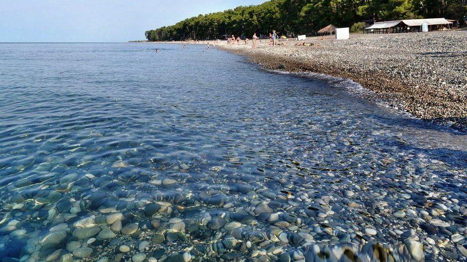 Море в Пицунде - невероятно чистое! Оно считается самым прозрачным на всей территории Абхазии